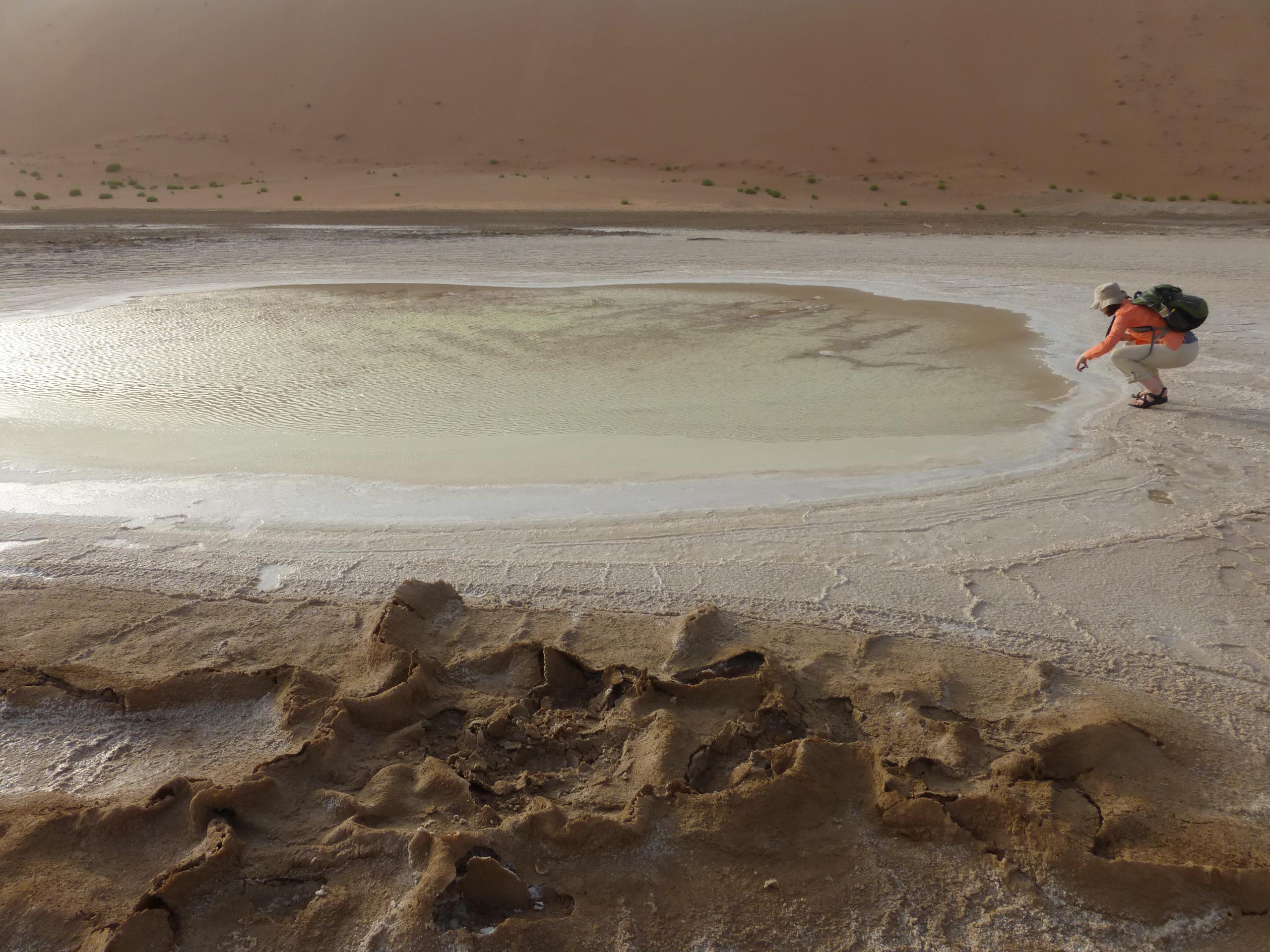 Liwa interdune evaporites